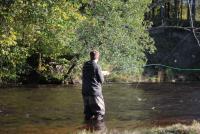 Bifogad bild: IMG_1759.JPG